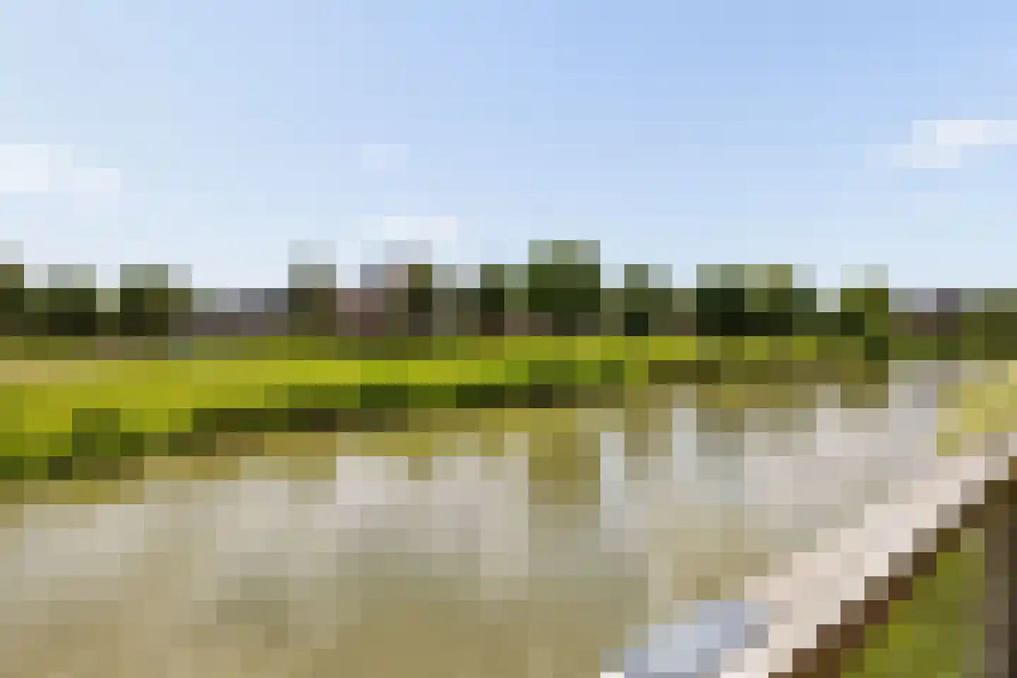 Cella Gallia 32 Houten thumbnail 43