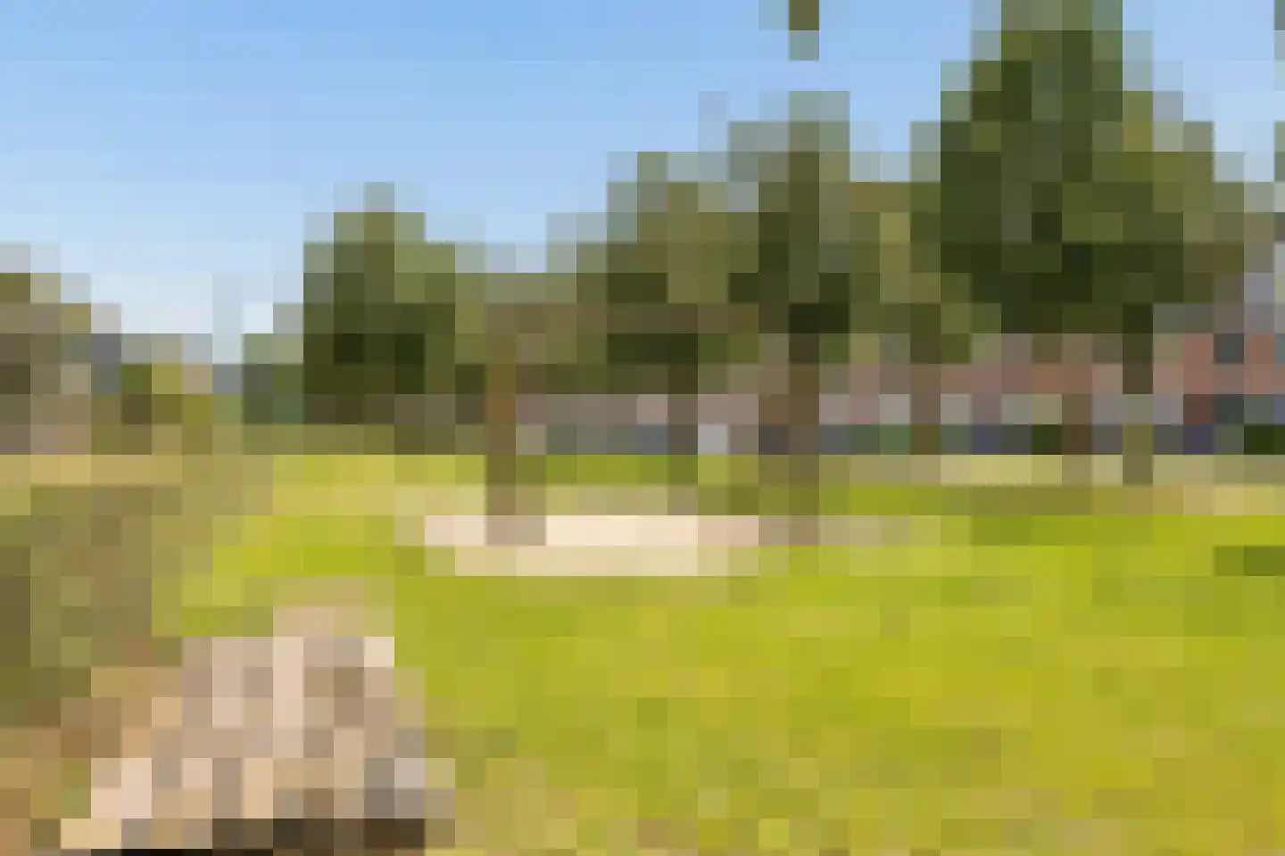 Cella Gallia 32 Houten thumbnail 46