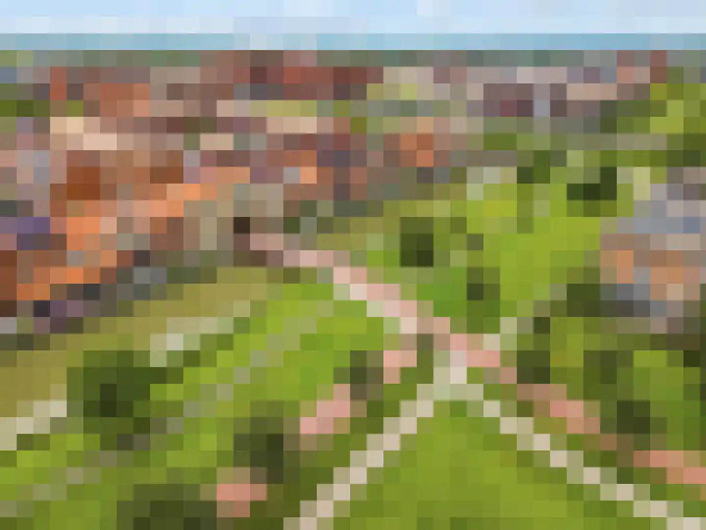 Cella Gallia 32 Houten thumbnail 49