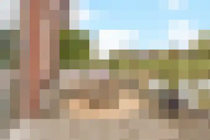 Cella Gallia 44 Houten thumbnail 15