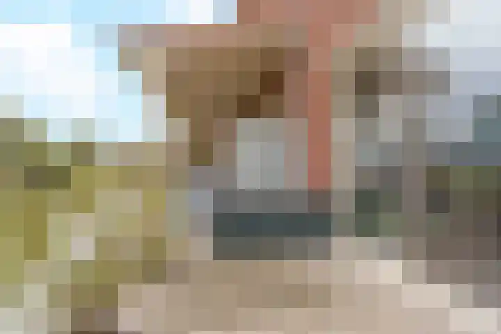 Cella Gallia 44 Houten thumbnail 16