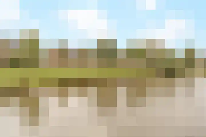 Cella Gallia 44 Houten thumbnail 17