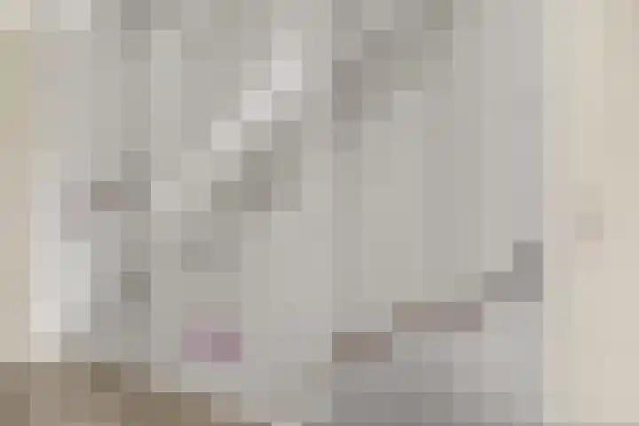 Cella Gallia 44 Houten thumbnail 21