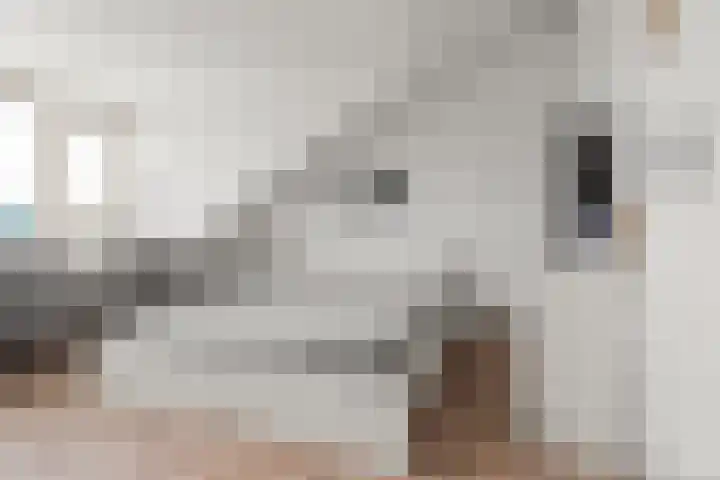 Cella Gallia 44 Houten thumbnail 26