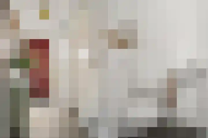 Cella Gallia 44 Houten foto 3