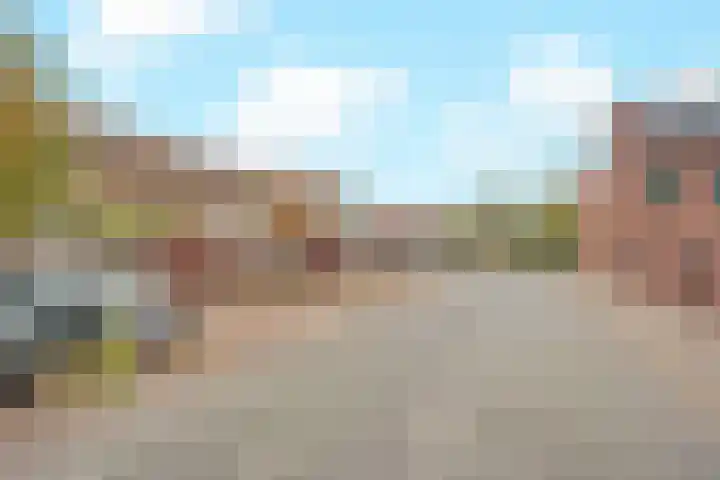 Cella Gallia 44 Houten thumbnail 32