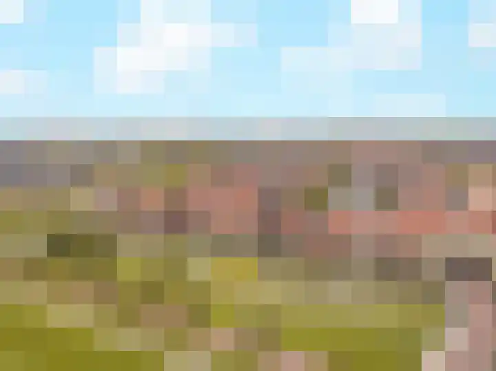 Cella Gallia 44 Houten thumbnail 33