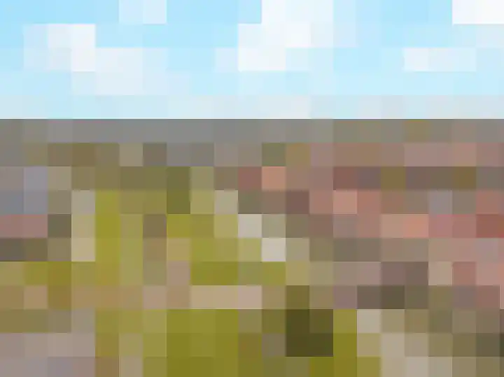 Cella Gallia 44 Houten thumbnail 34
