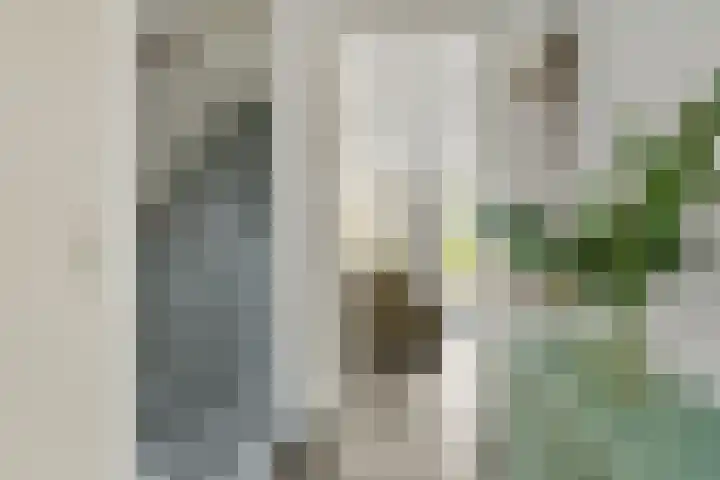 Cella Gallia 44 Houten thumbnail 4