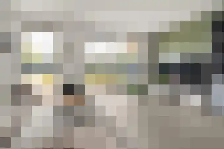 Cella Gallia 44 Houten thumbnail 6