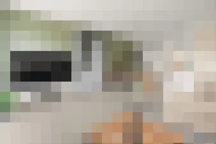 Cella Gallia 44 Houten thumbnail 8