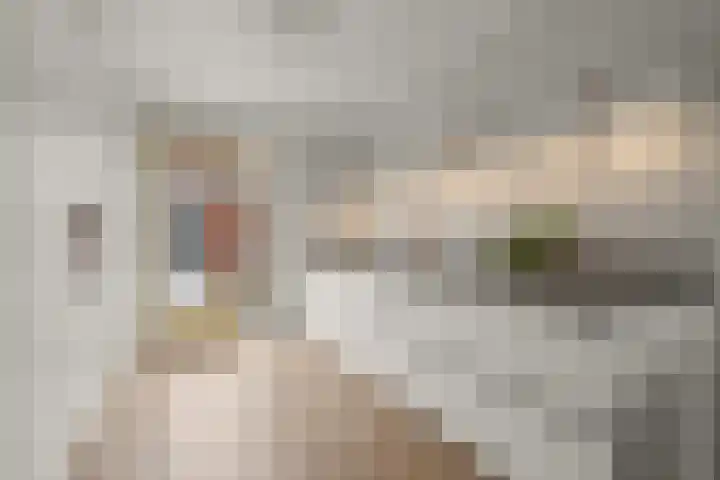 Cella Gallia 76 Houten thumbnail 11