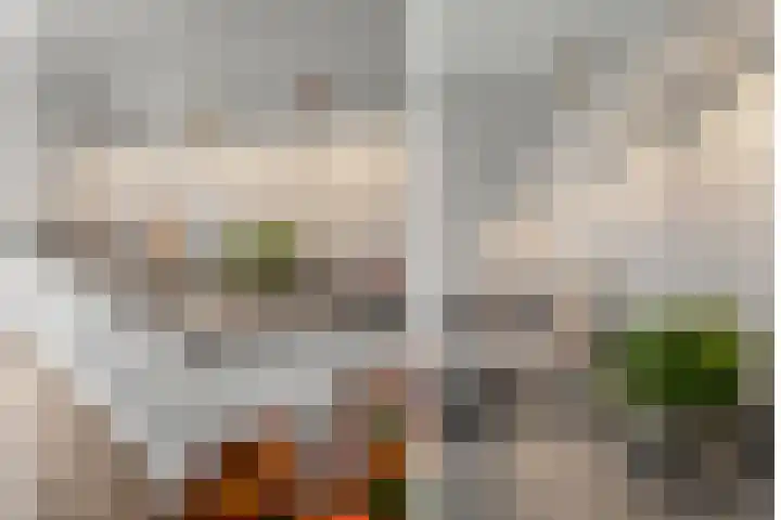 Cella Gallia 76 Houten thumbnail 12