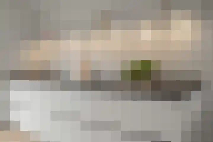 Cella Gallia 76 Houten thumbnail 14