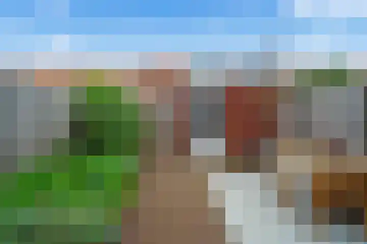 Cella Gallia 76 Houten thumbnail 15