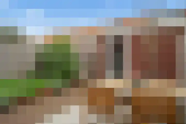 Cella Gallia 76 Houten thumbnail 16