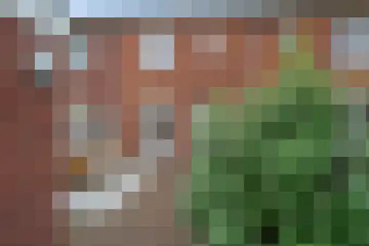 Cella Gallia 76 Houten thumbnail 17