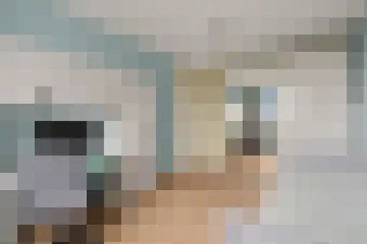 Cella Gallia 76 Houten thumbnail 20