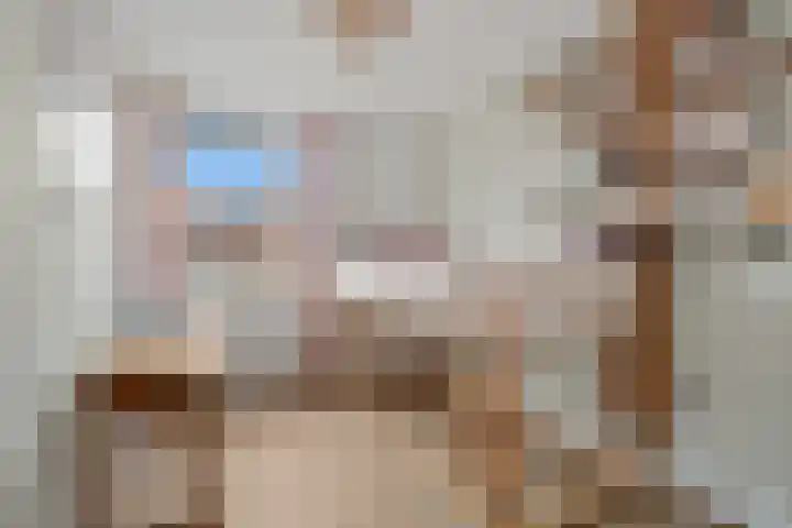 Cella Gallia 76 Houten thumbnail 25