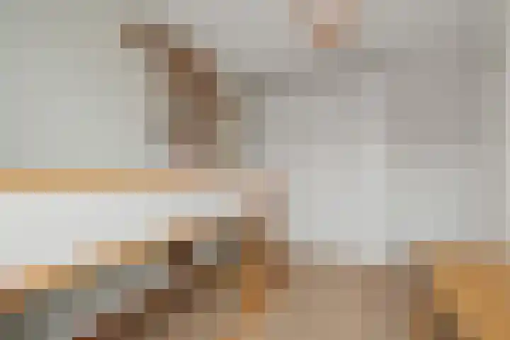 Cella Gallia 76 Houten thumbnail 26