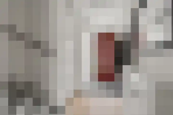 Cella Gallia 76 Houten thumbnail 34