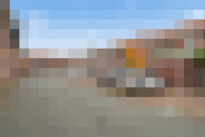 Cella Gallia 76 Houten thumbnail 37