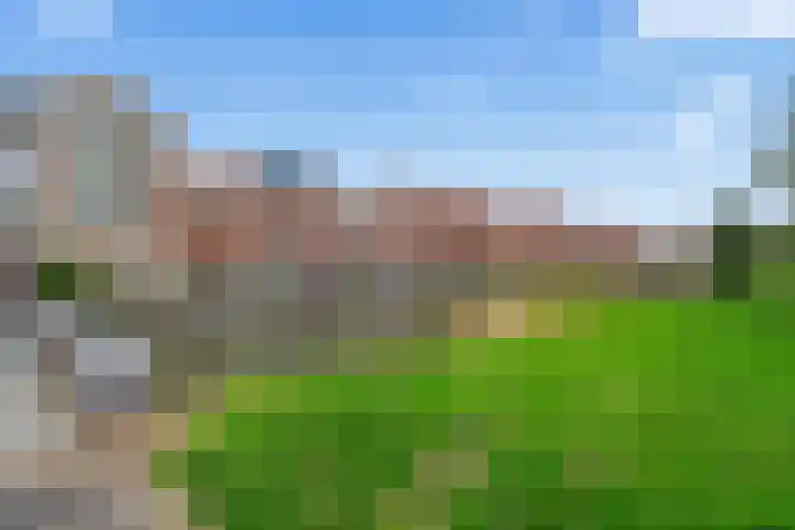 Cella Gallia 76 Houten thumbnail 38