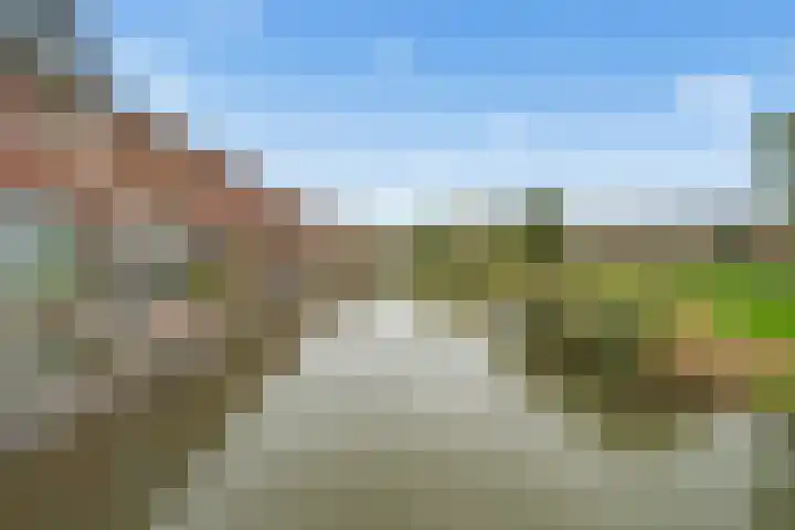 Cella Gallia 76 Houten thumbnail 39
