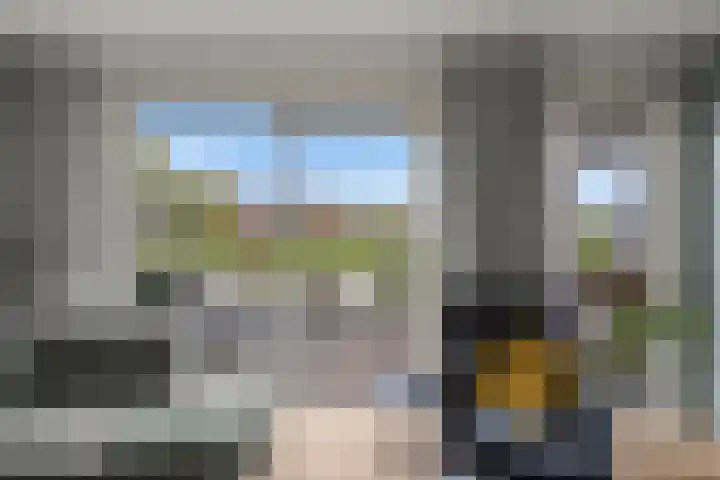 Cella Gallia 76 Houten thumbnail 4