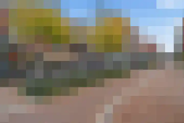Cella Gallia 76 Houten thumbnail 40