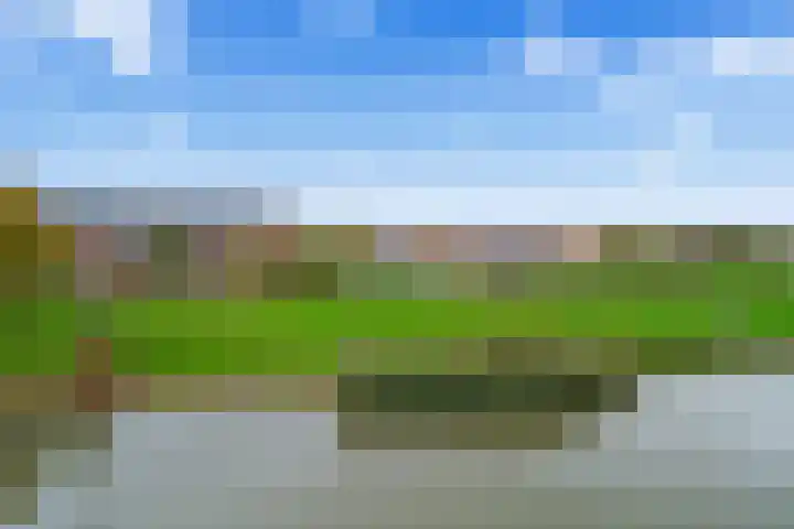 Cella Gallia 76 Houten thumbnail 41