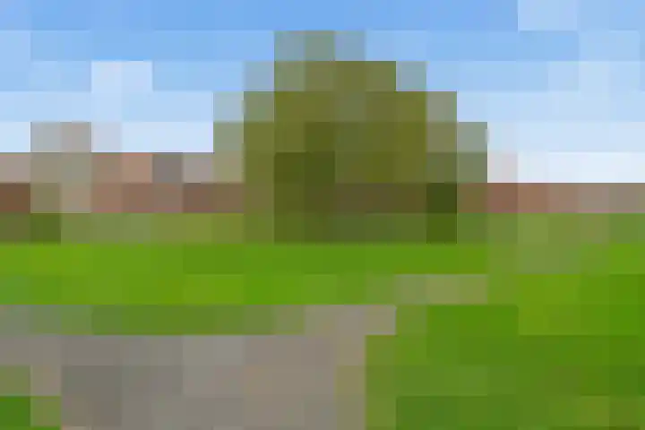 Cella Gallia 76 Houten thumbnail 42