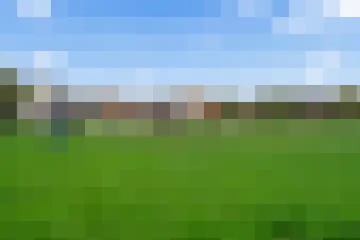 Cella Gallia 76 Houten thumbnail 43