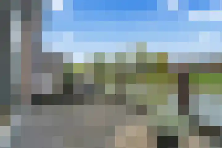 Cella Gallia 76 Houten thumbnail 5