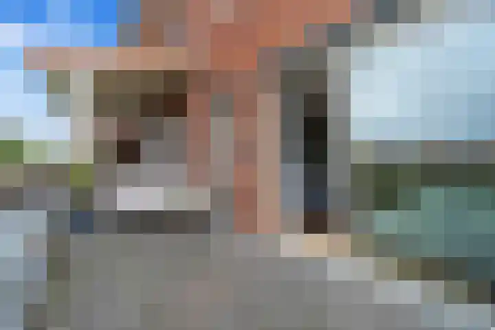 Cella Gallia 76 Houten thumbnail 6