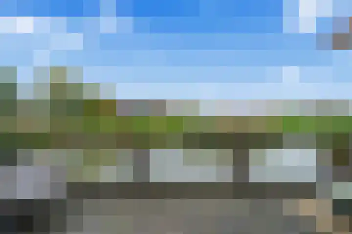 Cella Gallia 76 Houten thumbnail 7