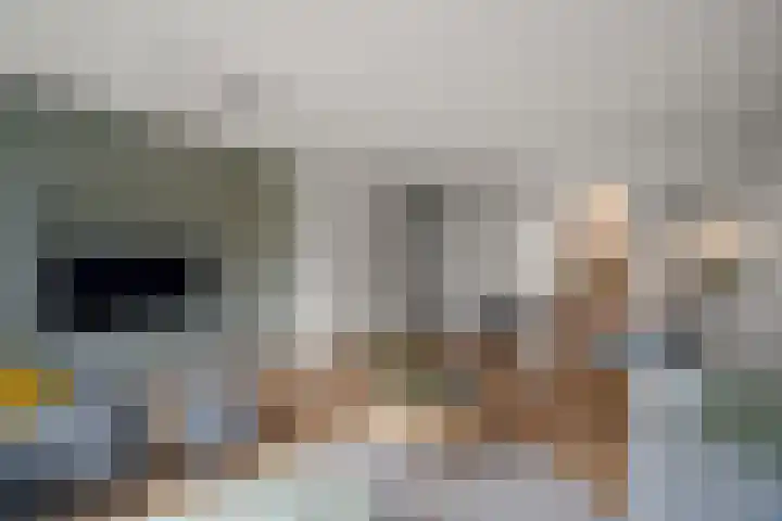 Cella Gallia 76 Houten thumbnail 9
