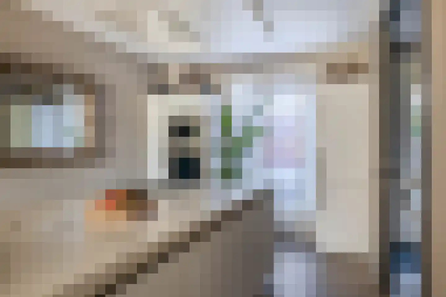 Cella Gallia 94 Houten thumbnail 19