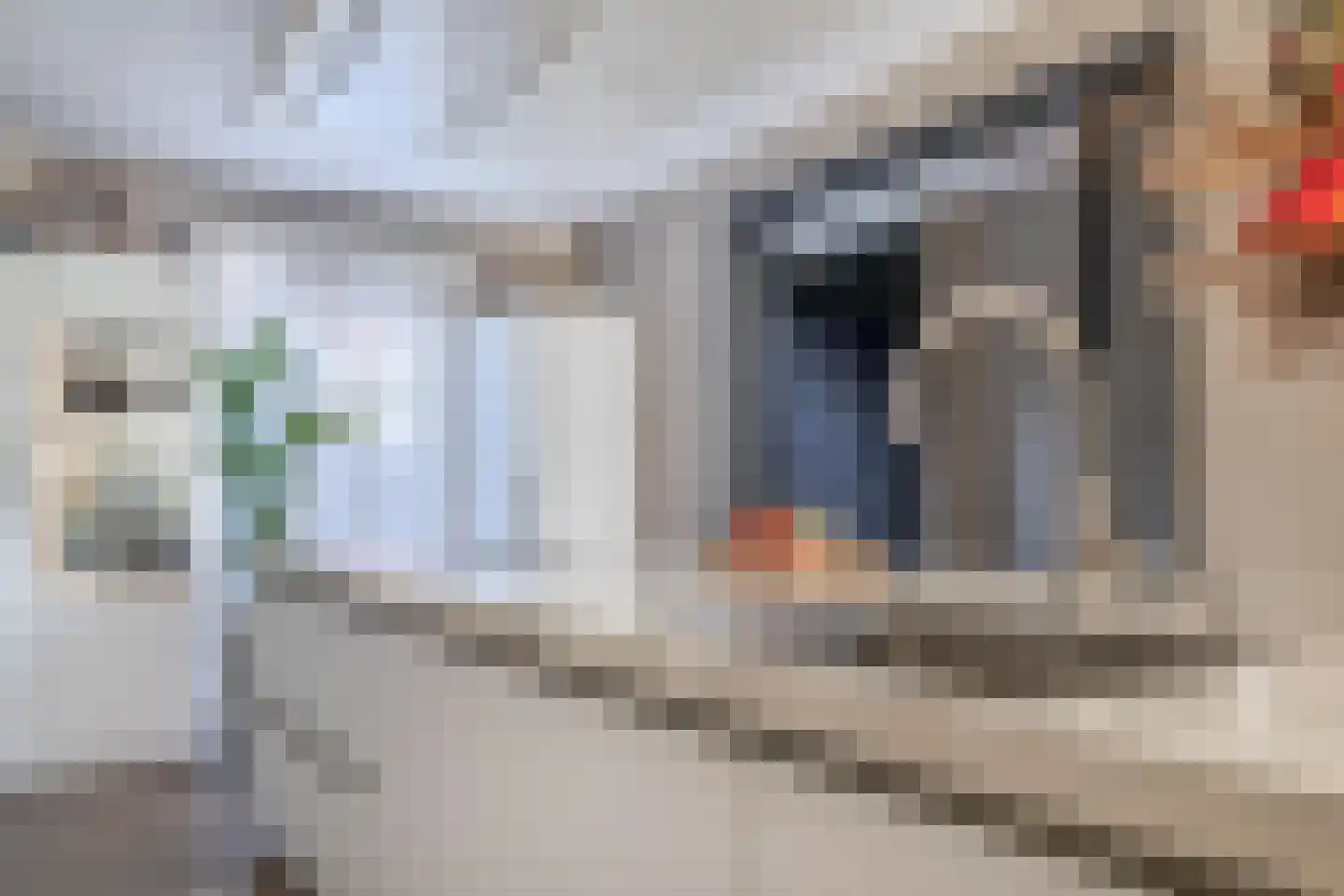Cella Gallia 94 Houten thumbnail 21
