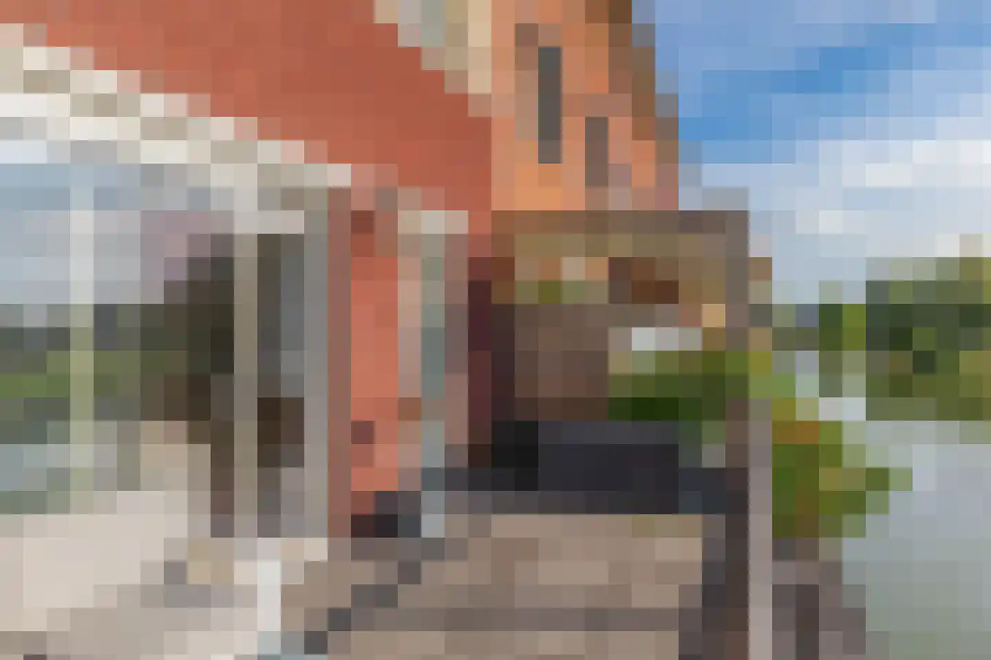 Cella Gallia 94 Houten thumbnail 26