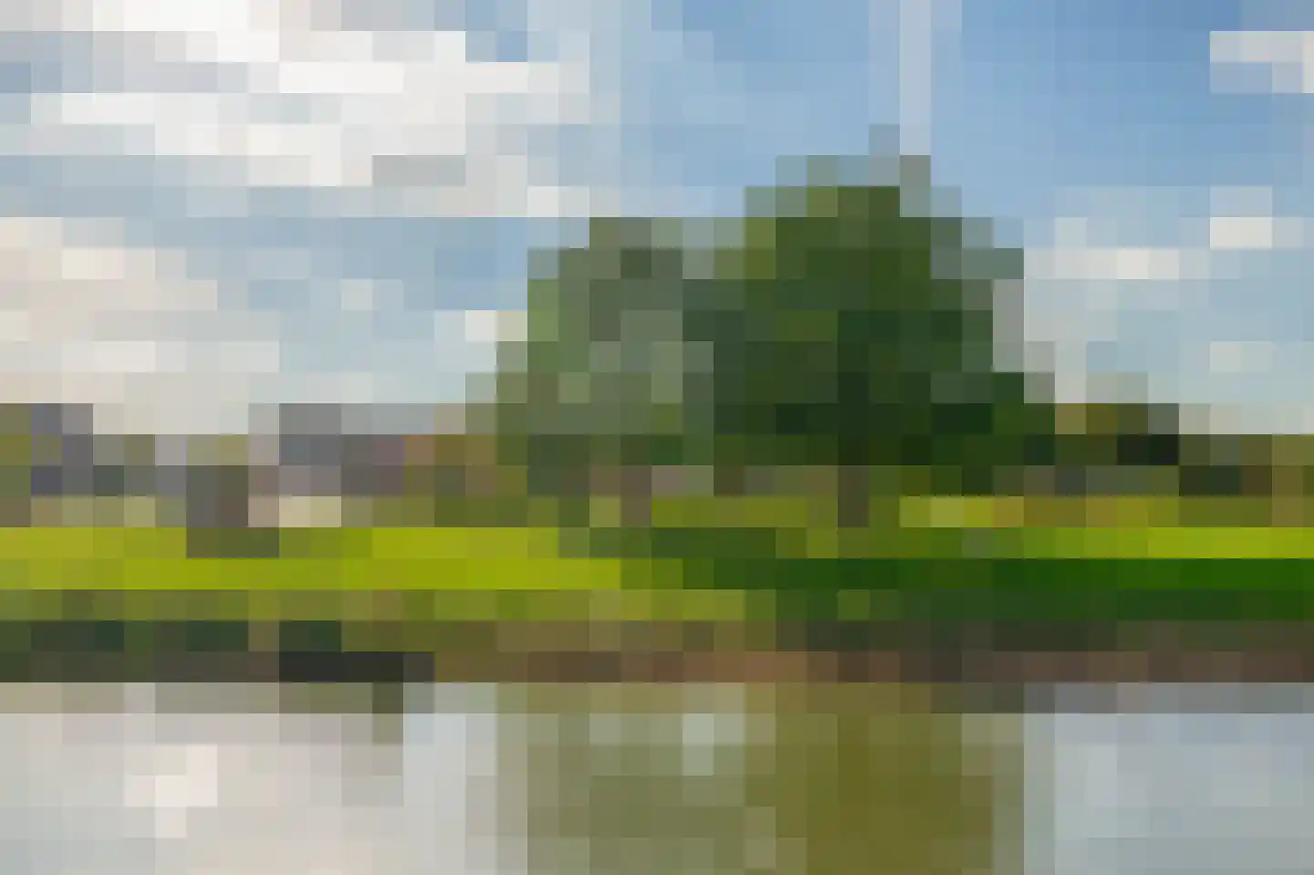Cella Gallia 94 Houten thumbnail 27