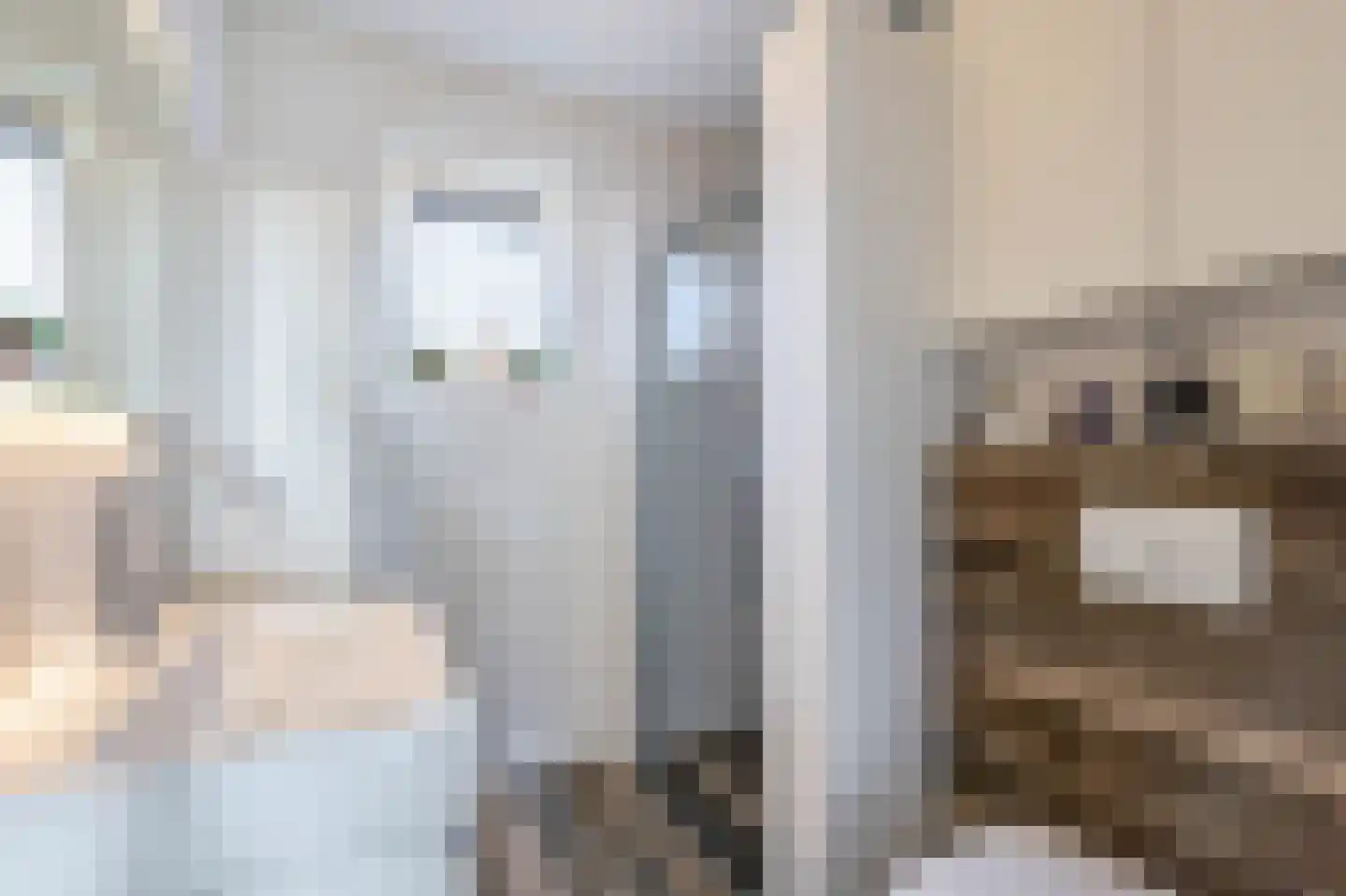 Cella Gallia 94 Houten thumbnail 31