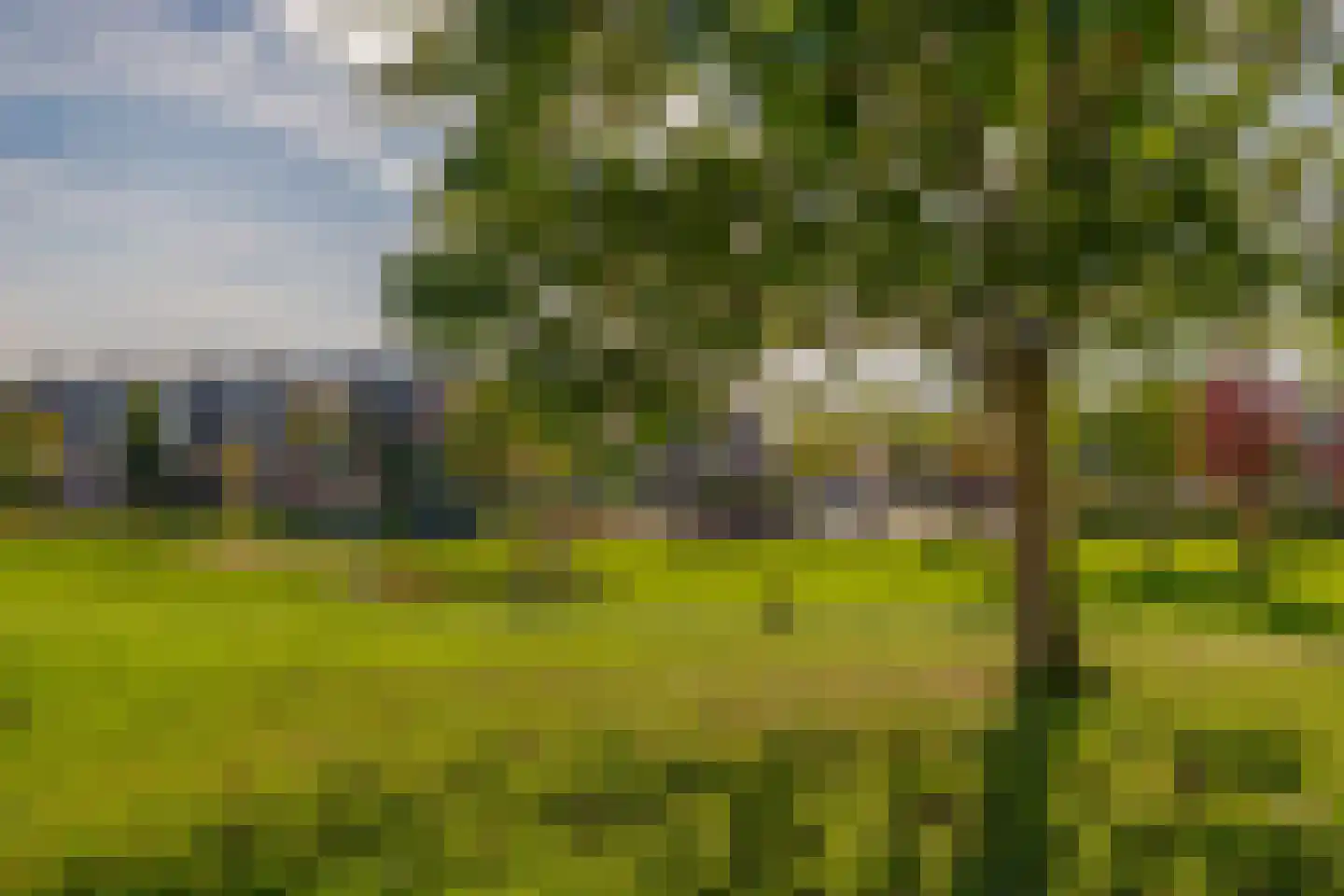 Cella Gallia 94 Houten thumbnail 43