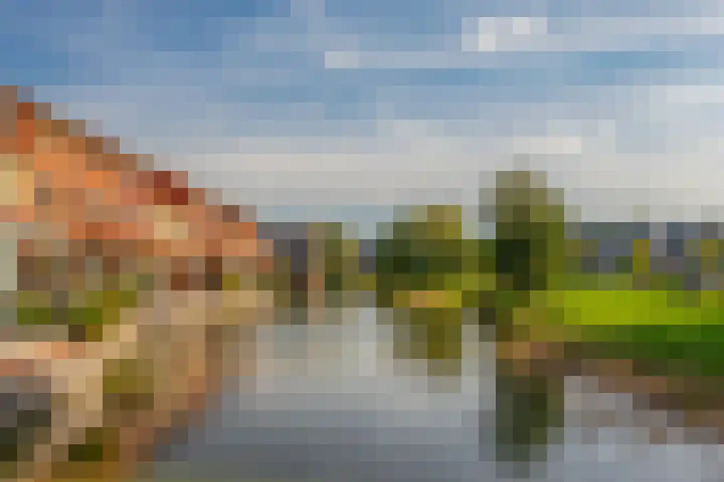 Cella Gallia 94 Houten thumbnail 45
