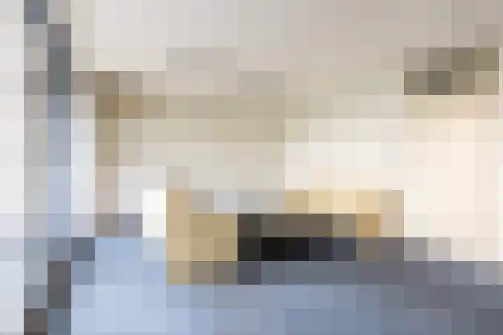 Cellebroedersstraat 13 Schoonhoven thumbnail 5