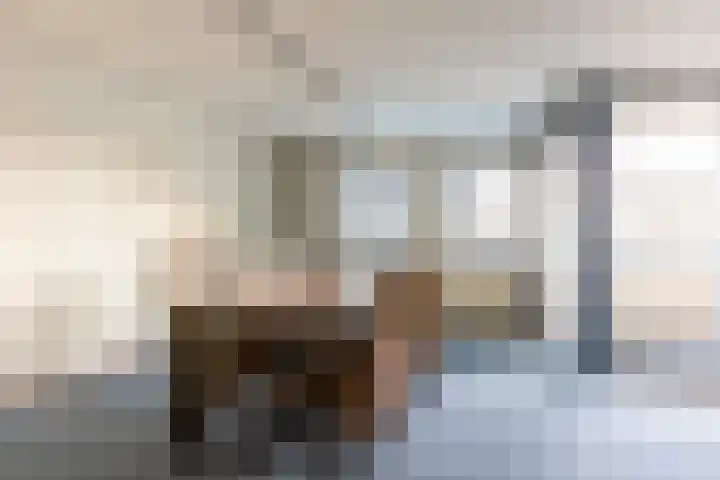 Cellebroedersstraat 13 Schoonhoven thumbnail 8