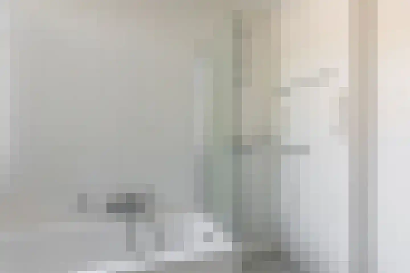Cellebroedersstraat 25 Schoonhoven thumbnail 22