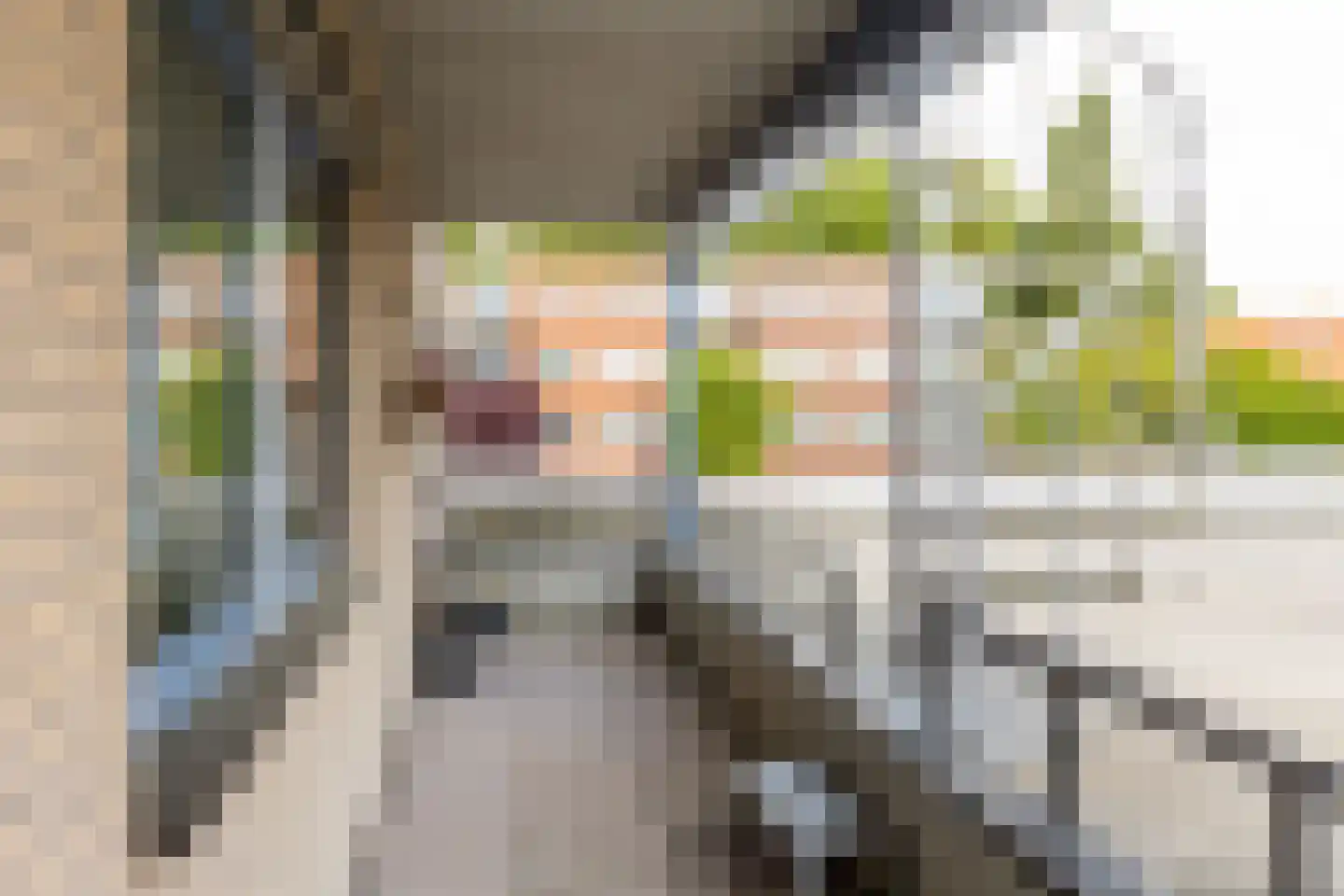 Cellebroedersstraat 25 Schoonhoven thumbnail 30
