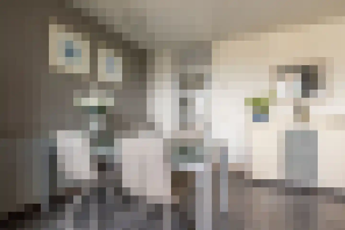 Cellebroedersstraat 25 Schoonhoven thumbnail 8