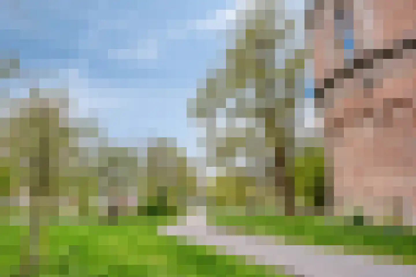 Cellebroedersweg 6 Kampen thumbnail 43